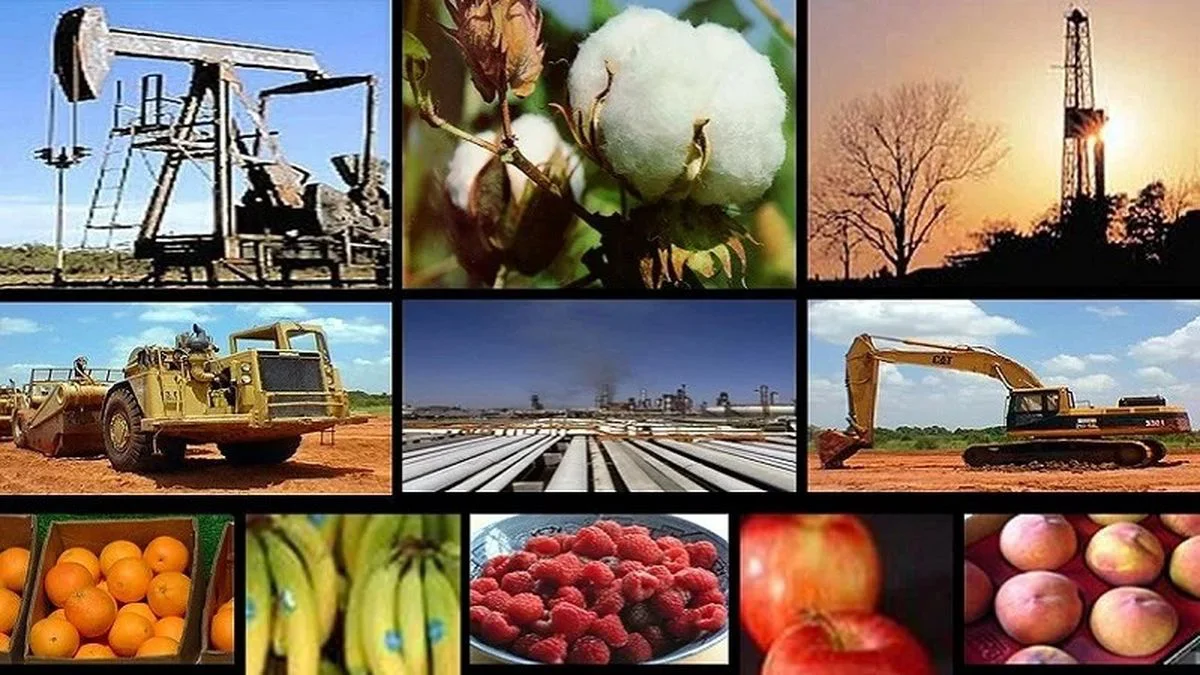 actividad-economicajpg