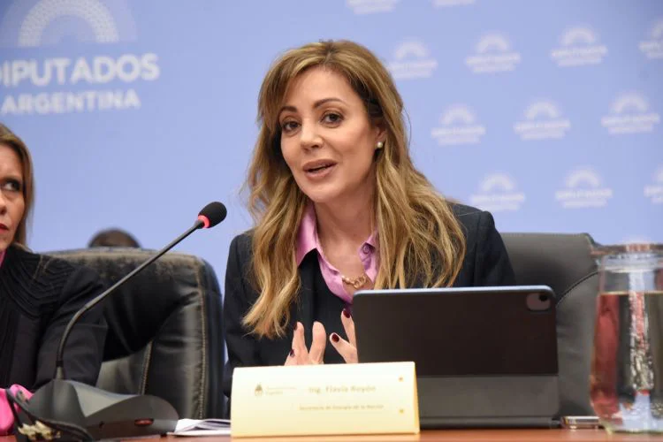 Flavia-Royon-diputados-GNL