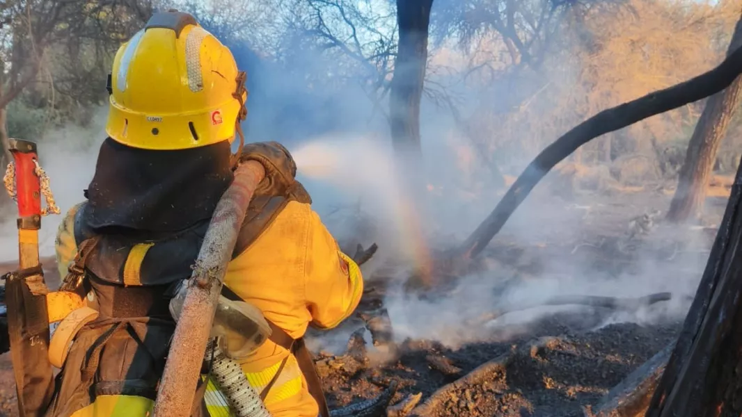 23567-brigadistas-y-bomberos-voluntarios-trabajan-para-contener-un-incendio-forestal-en-cafayate