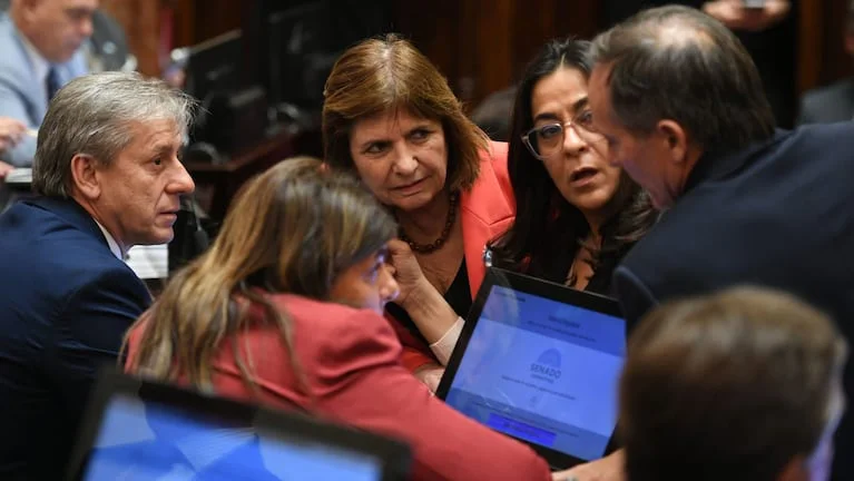 patricia-bullrich-encabezara-una-reunion-con-los-jefes-de-los-bloques-aliados-en-el-senado-para-destrabar-la-agenda-oficialista-foto-senado-ANFOB73TBVGBDKHJQYADPQZMYA